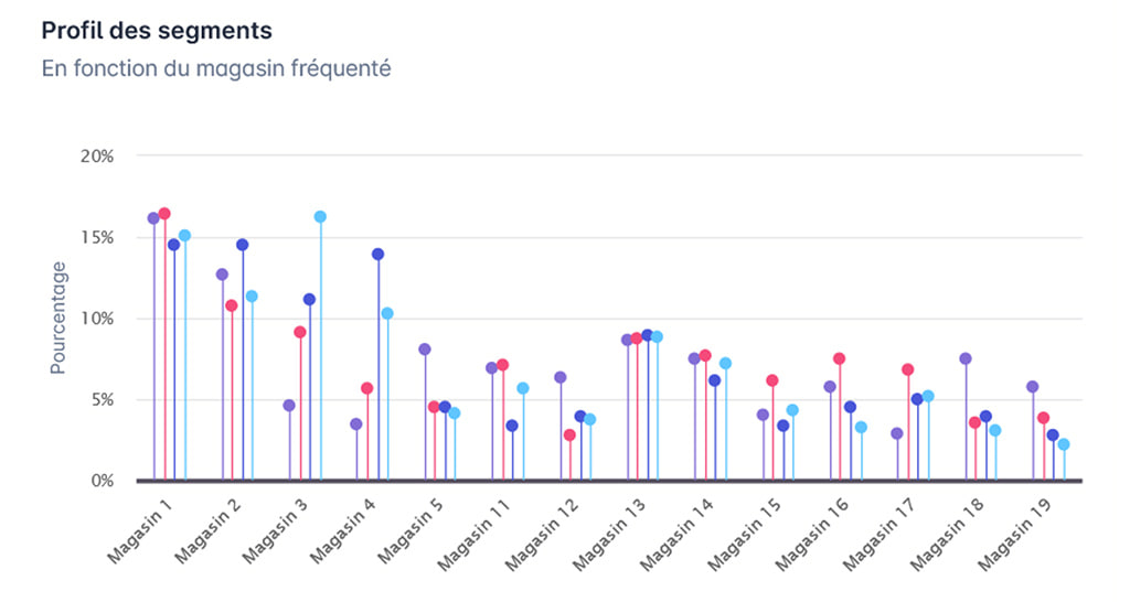 Graphique du profil des segments de clients selon le magasin fréquenté, en pourcentage