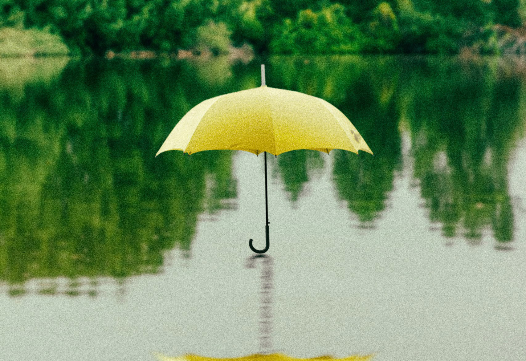 Parapluie jaune flottant au-dessus d’un lac et reflété dans l’eau, devant une rive boisée