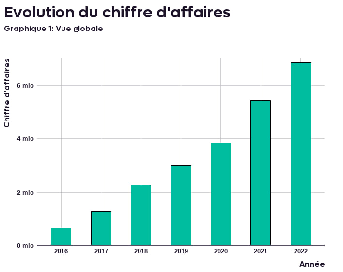 Histogramme du chiffre d’affaires par année, de 2016 à 2022 : la vue globale.