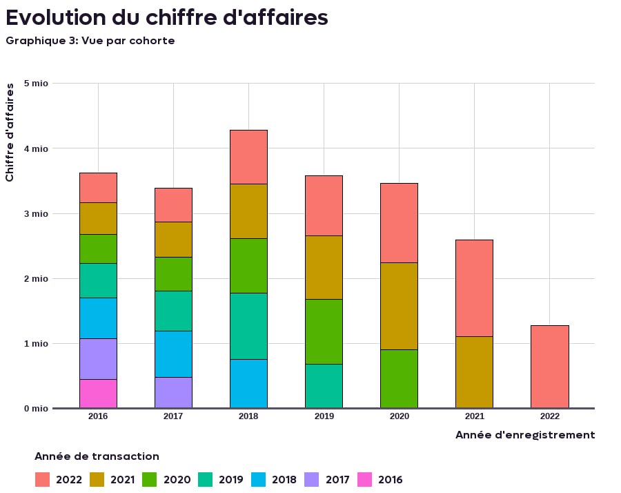 Histogramme du chiffre d’affaires par cohorte : pour chaque année d’enregistrement, ce que les clients rapportent les années suivantes.